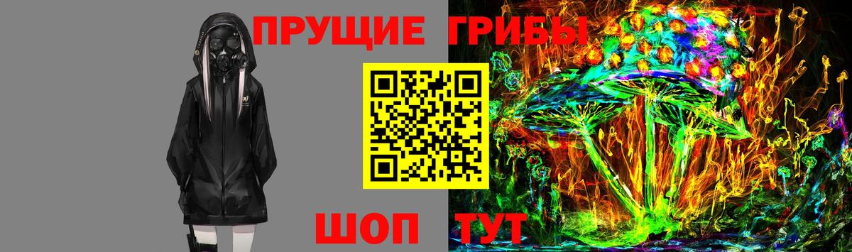 Галлюциногенные грибы мицелий Родники