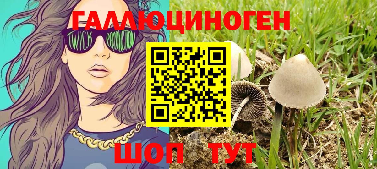 Псилоцибиновые грибы GOLDEN TEACHER  Псилоцибиновые грибы GOLDEN TEACHER  Вход с VPN  Родники 